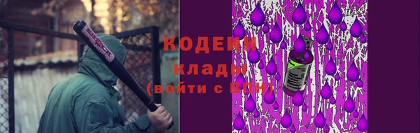 хмурый Аркадак